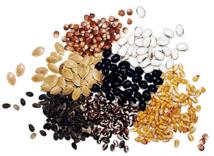Seed juice Seed juice