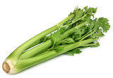 Celery 2 Celery 2