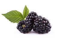 blackberries blackberries