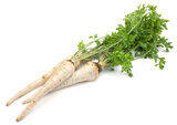 Parsley Parsley