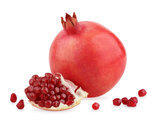 Pomegrante