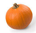Pumpkin Pumpkin