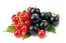 Currant Currant