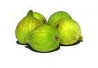 Fig Fig