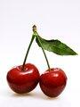 Cherry Cherry