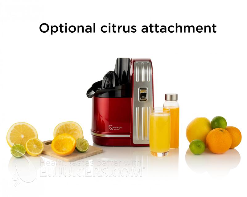 45558